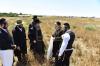 אדמורי"ם ורבנים ביי קצירת חיטים לקראת יו"ט פסח תשפ"א אין די בעקעריי פון טיב המצות 