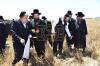 אדמורי"ם ורבנים ביי קצירת חיטים לקראת יו"ט פסח תשפ"א אין די בעקעריי פון טיב המצות 