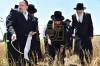 אדמורי"ם ורבנים ביי קצירת חיטים לקראת יו"ט פסח תשפ"א אין די בעקעריי פון טיב המצות 