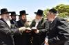 אדמורי"ם ורבנים ביי קצירת חיטים לקראת יו"ט פסח תשפ"א אין די בעקעריי פון טיב המצות 