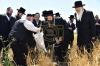 אדמורי"ם ורבנים ביי קצירת חיטים לקראת יו"ט פסח תשפ"א אין די בעקעריי פון טיב המצות 
