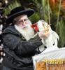 ערב און מוצאי יום הקדוש ביי כ"ק אדמו"ר מצאנז שליט"א - משה גאלדשטיין 