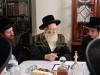 Main image for מסע הלוי' פון כ"ק אדמו"ר מגלאגוב זצ"ל