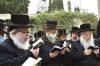 הקמת המציבה אויפ'ן קבר פון הרבנית מוואסלוי ע"ה