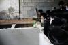 באזוך פון כ"ק אדמו"ר מצאנז שליט"א  בבית מדרשו בירושלים - צילום שמואל דריי
