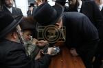 זאת חנוכה בחצר הקודש קארלסבורג 