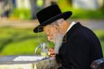 כ"ק גאב"ד זכרון מאיר שליט"א בנאות דשא