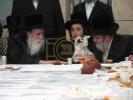 כ"ק אדמו"ר ממחנובקא שליט"א ביים סעודת הילולא פון הרה"ק מהר"י מבעלזא זי"ע