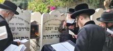 Main image for כ"ק אדמו"ר מסאדיגורא שליט"א בעליה לציון זקינו בעל הכנסת מרדכי מסאדיגורא זצ"ל 