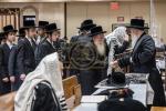 תפילין לייגן פון נכד כ"ק אדמו"ר מבאבוב שליט"א 