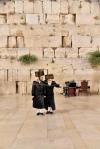 כ"ק אדמו"ר מויזניץ שליט"א ביים כותל המערבי לרגל שמחת החתונה לנכדו החתן