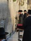 Main image for כ"ק אדמו"ר מקארלין סטאלין שליט"א ביים כותל המערבי 
