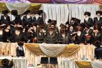 פולע גאלערי: שמחת החתונה פון נכד כ"ק אדמו"ר מבעלזא שליט"א 