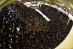 פולע גאלערי: שמחת החתונה פון נכד כ"ק אדמו"ר מבעלזא שליט"א 