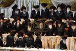 פולע גאלערי: שמחת החתונה פון נכד כ"ק אדמו"ר מבעלזא שליט"א 
