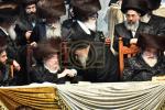 פולע גאלערי: שמחת החתונה פון נכד כ"ק אדמו"ר מבעלזא שליט"א 