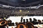 פולע גאלערי: שמחת החתונה פון נכד כ"ק אדמו"ר מבעלזא שליט"א 