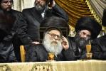 פולע גאלערי: שמחת החתונה פון נכד כ"ק אדמו"ר מבעלזא שליט"א 