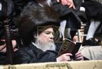 פולע גאלערי: שמחת החתונה פון נכד כ"ק אדמו"ר מבעלזא שליט"א 