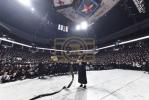 פולע גאלערי: שמחת החתונה פון נכד כ"ק אדמו"ר מבעלזא שליט"א 