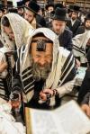 פולע גאלערי: באזוך פון כ"ק אדמו"ר מבאבוב-45 שליט"א אין ארץ ישראל 