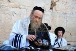 כ"ק אדמו"ר מקאסוב שליט"א ביים כותל המערבי 