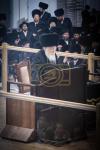פולע גאלערי: כ"ק אדמו"ר מגור שליט"א אויף שבת קודש אין בארא פארק 