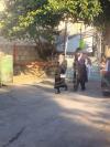 הרה"צ רבי אלימלך בידערמאן שליט"א באתרא קדישא מירון 