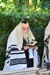 פולע גאלערי: כ"ק אדמו"ר מוויזניץ שליט"א אין לאס אנזשעלעס 