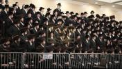 Main image for ערשטע בילדער משמחת החתונה בבית וויען 