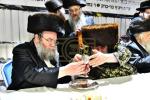 סיום סמיכה והוראה בחצר וויזניץ