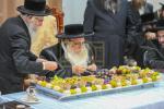 Main image for ט"ו בשבט ביי כ"ק אדמו"ר מצאנז שליט"א 