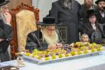 ט"ו בשבט ביי כ"ק אדמו"ר מצאנז שליט"א 