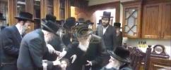 Main image for שמחת החאלקא פון נין כ"ק אדמו"ר מבעלזא שליט"א 