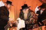 בליץ באזוך פון כ"ק אדמו"ר מטאהש שליט"א בארץ הקודש 