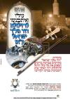 Main image for פולע ווידעא: פרייליכע טענץ ביומא דהילולא ד'דוד מלכא משיחא 