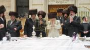 Main image for מוצאי חג השבועות בחצר הקודש מונקאטש 