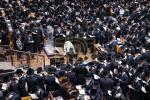 Main image for א' סליחות בחצר הקודש באבוב 