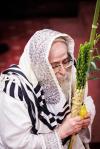 חג הסוכות בחצר הקודש צאנז קלויזענבורג