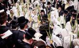 חג הסוכות בחצר הקודש צאנז קלויזענבורג