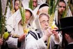 חג הסוכות בחצר הקודש צאנז קלויזענבורג