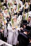 חג הסוכות בחצר הקודש צאנז קלויזענבורג