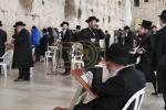 הגאון רבי מלכיאל קאטלער שליט"א ר"י בית המדרש גבוה ביים מתפלל זיין ביים כותל המערבי 