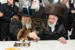 Main image for מעמד הכנסת ספר תורה אין בית המדרש הגדול ד'באבוב 