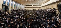 מעמד הכנסת ספר תורה אין בית המדרש הגדול ד'באבוב 