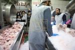 כ"ק ראב"ד ירושלים שליט"א באזוכט אין די שעכט הויז  גלאט עוף וועכע איז אינטער די השגחה פונעם ראב"ד 