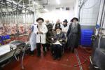 כ"ק ראב"ד ירושלים שליט"א באזוכט אין די שעכט הויז  גלאט עוף וועכע איז אינטער די השגחה פונעם ראב"ד 