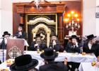 בלומינגבורג'ער אידן אדאפטירן כולל להוראה דקיט"ל אין בית שמש