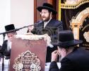 בלומינגבורג'ער אידן אדאפטירן כולל להוראה דקיט"ל אין בית שמש