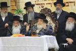 חבורה פון כ"ק אדמו"ר מוויזניץ שליט"א ביים מצות באקן 